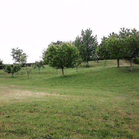 Casa In Campagna _Lori Volta Mantovana Εξωτερικό φωτογραφία