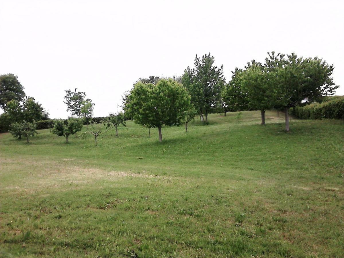 Casa In Campagna _Lori Volta Mantovana Εξωτερικό φωτογραφία