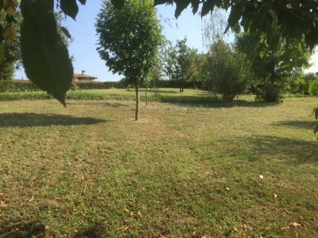 Casa In Campagna _Lori Volta Mantovana Εξωτερικό φωτογραφία