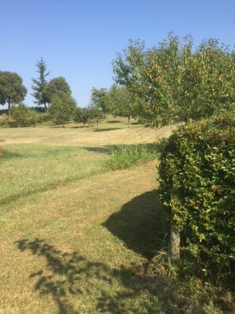 Casa In Campagna _Lori Volta Mantovana Εξωτερικό φωτογραφία