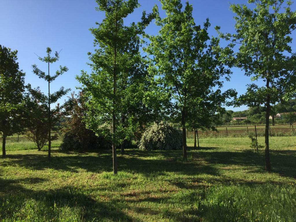 Casa In Campagna _Lori Volta Mantovana Εξωτερικό φωτογραφία